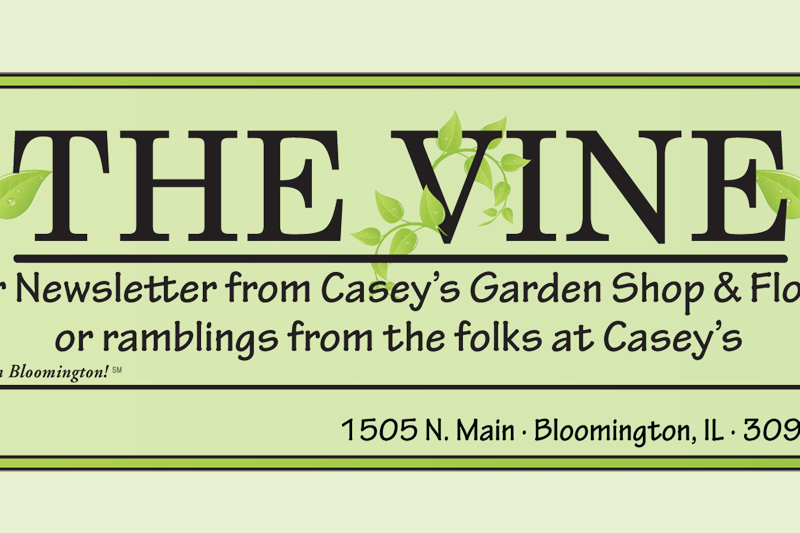 The Florist Shop at Casey's : Bloomington, IL