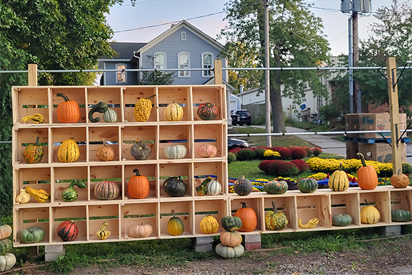 Fall Fest