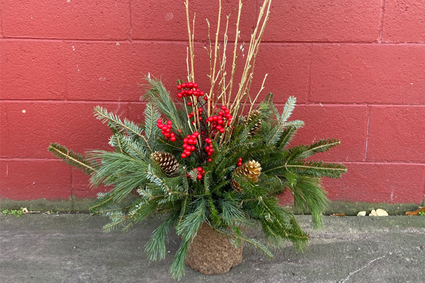 Winter Porch Pots & Sips